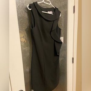 NWT Calvin Klein Dress
